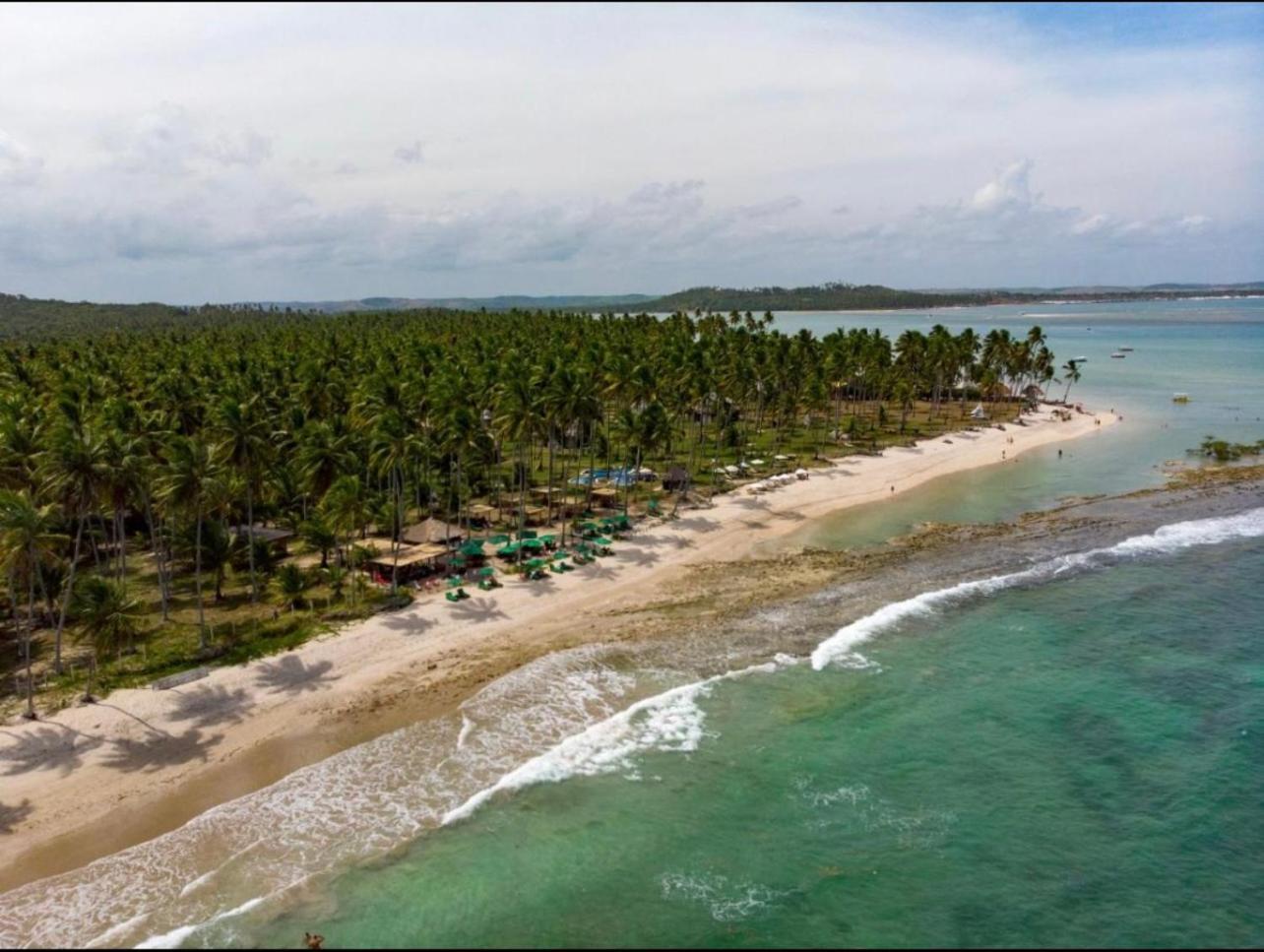 Flat Beira Mar - Carneiros Beach Resort Tamandaré Kültér fotó
